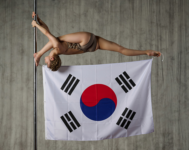 Pole and Dance Studio – Magnetic Pole Fit